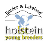 Border and Lakeland Holstein - Young Breeders
