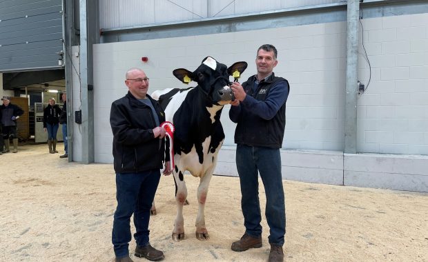 Champion Denmire Crushabull May with Judge John Unsworth and Andrew Dennison.