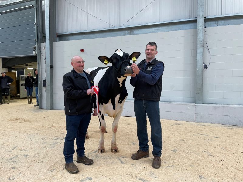 Champion Denmire Crushabull May with Judge John Unsworth and Andrew Dennison.