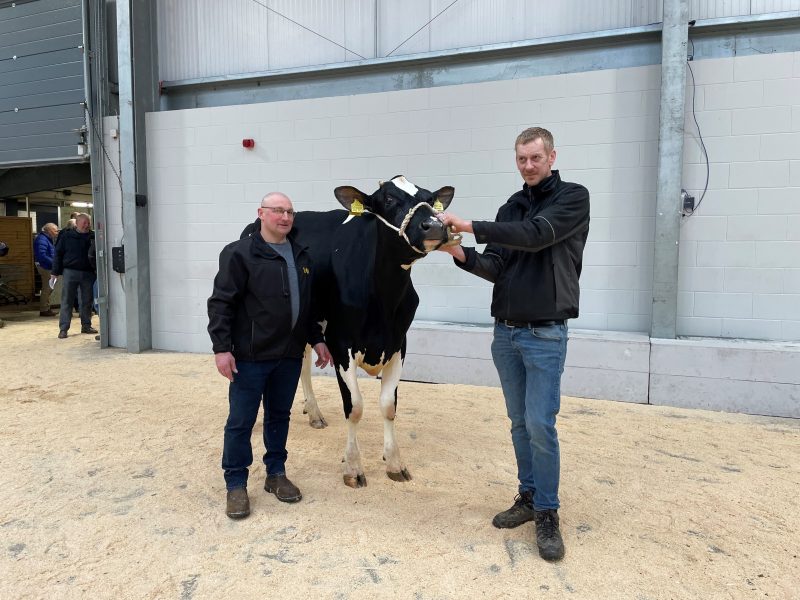 Reserve Champion Wormanby Pepper Anita with Judge John Unsworth and David Hodgson.